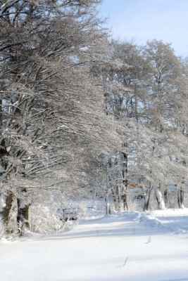 Zima 2019 v Pusté Kamenici - foto č. 4