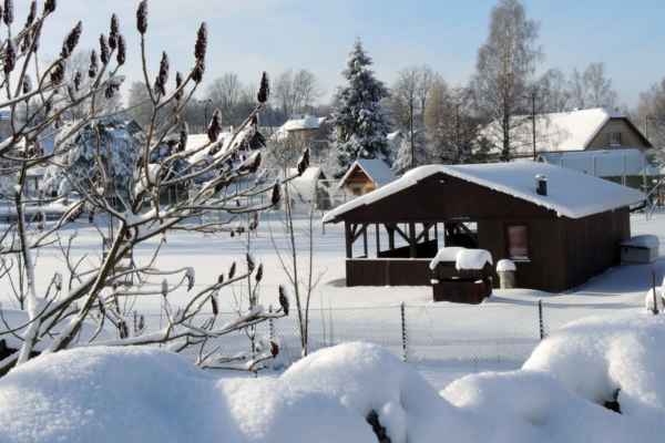 Zima 2019 v Pusté Kamenici - foto č. 17