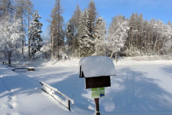 Zima 2019 v Pusté Kamenici - foto č. 26