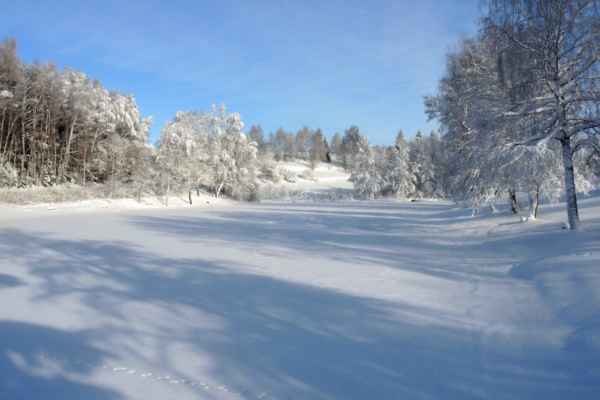 Zima 2019 v Pusté Kamenici - foto č. 28