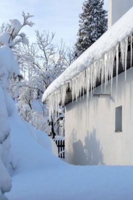 Zima 2019 v Pusté Kamenici - foto č. 33