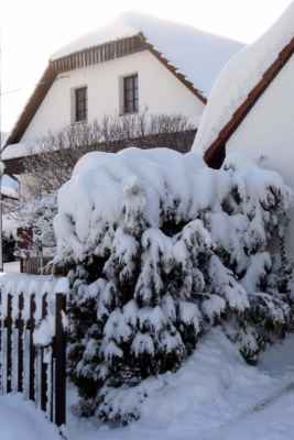 Zima 2019 v Pusté Kamenici - foto č. 35