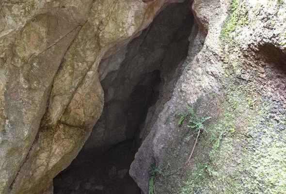 Pouťová jeskyně u Štramberku - Boční kaverny z jícnu jeskyně naznačují více dřívějších vodních cest do útrob masivu vápence.