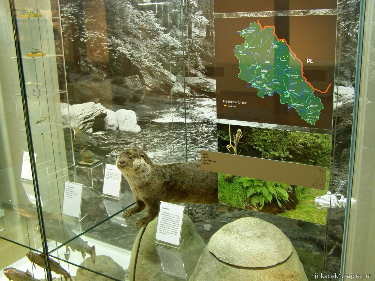 Rokytnice v Orlických horách - muzeum Orlických hor - 1.patro - expozice vody a toků hor