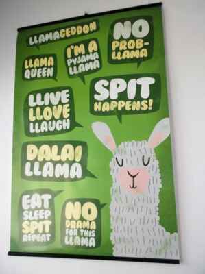 - eat
- sleep
- spit
- repeat
No drama for this llama - No probLLama