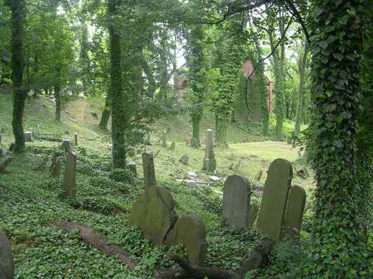 židovský hřbitov - Těšín (3)