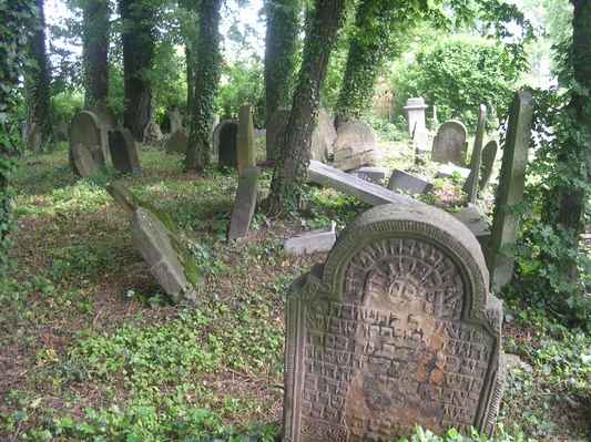 židovský hřbitov - Těšín