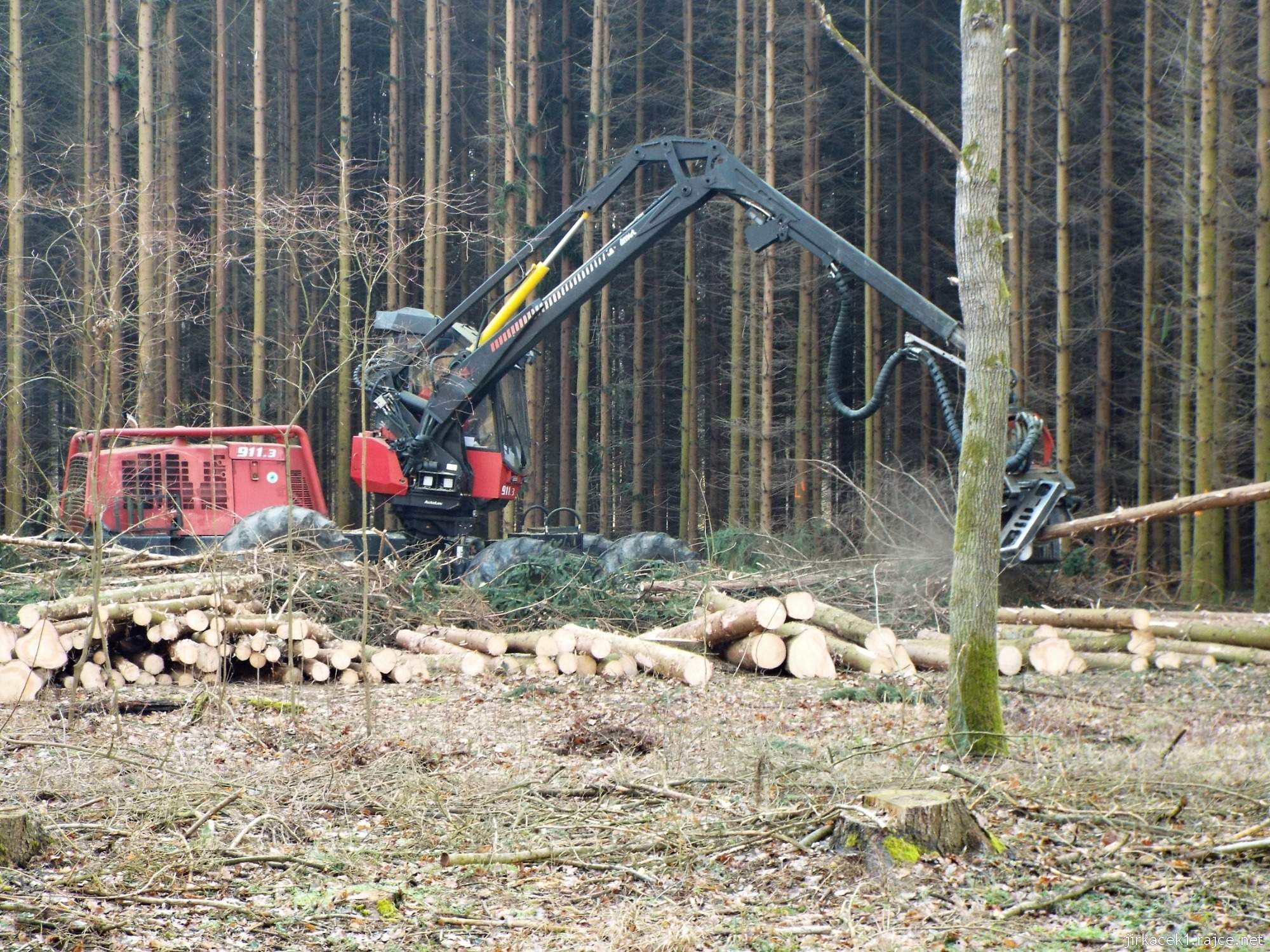 H - cesta mezi Lhotou a Březové 15 - těžba dřeva v Litovelském Pomoraví