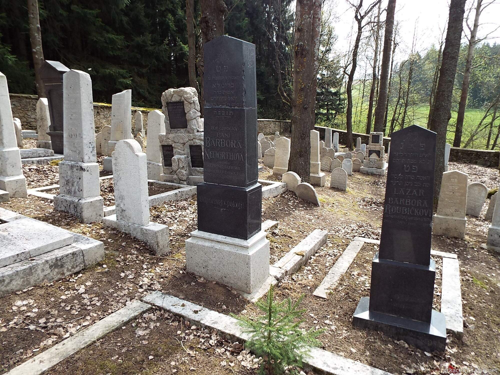 L - Horní Cerekev - židovský hřbitov 06 - náhrobky