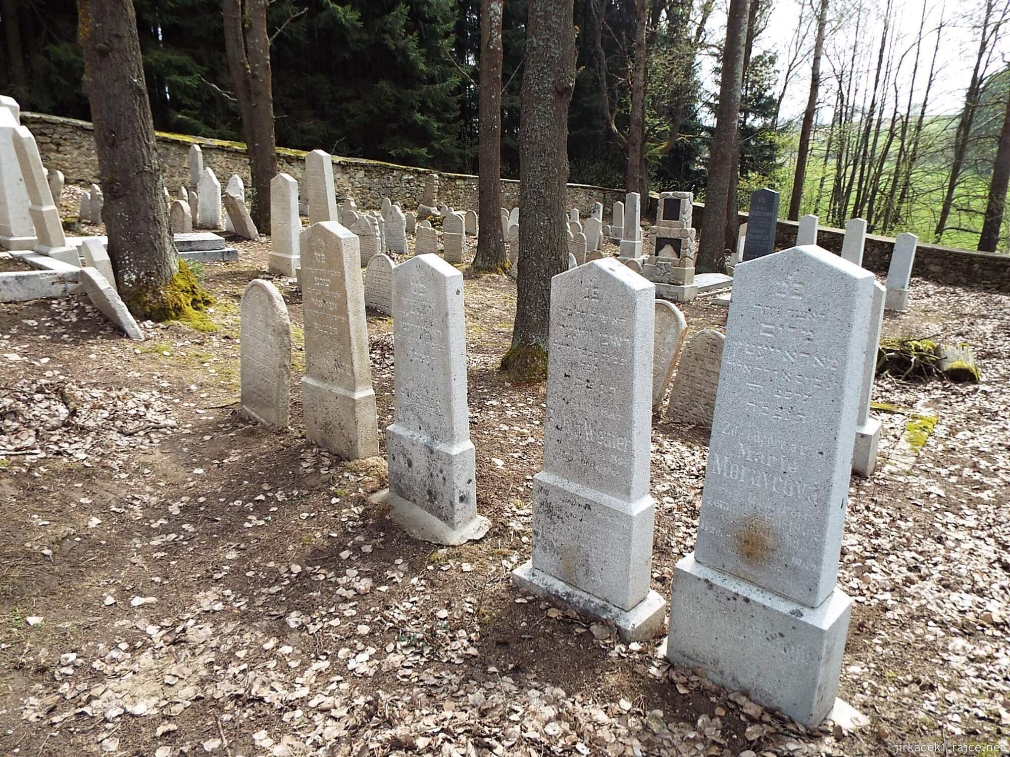 L - Horní Cerekev - židovský hřbitov 07 - náhrobky