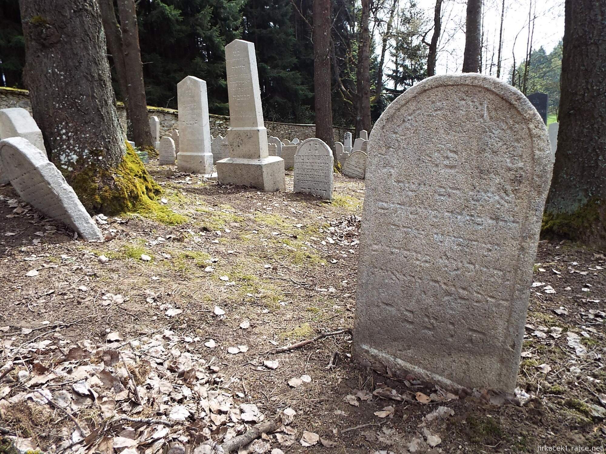 L - Horní Cerekev - židovský hřbitov 08 - náhrobky